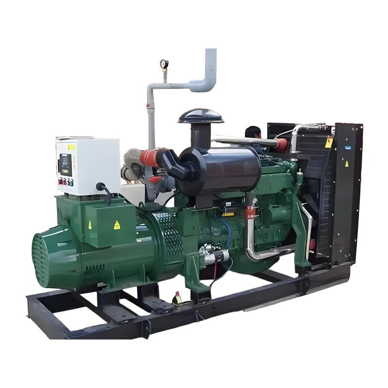 What are the main maintenance costs associated with an 800kw Biogas Generator over five years