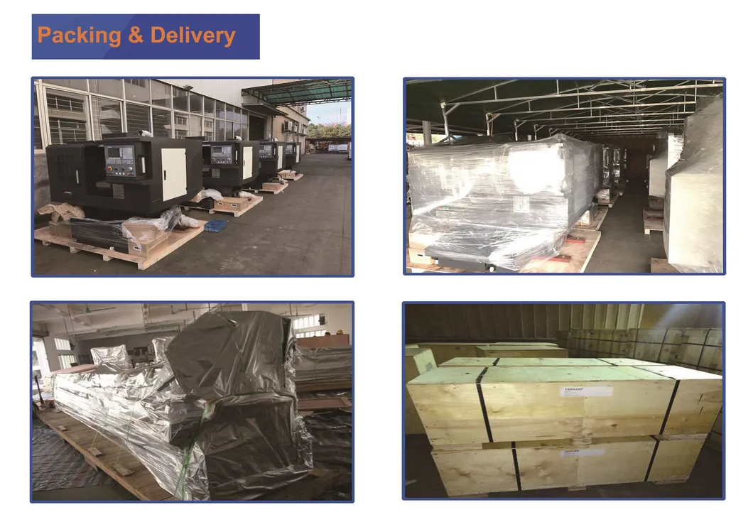 Bench Grinder 6" 150mm Grinding for Home Workshop Ds150 Ds175