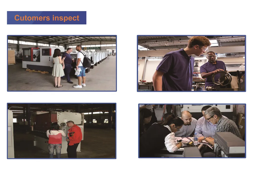 Bench Grinder 6" 150mm Grinding for Home Workshop Ds150 Ds175