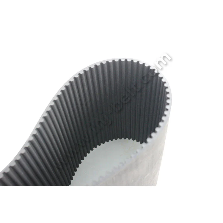 Timing Belts