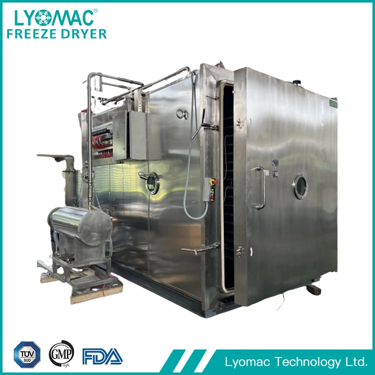 Health Food Lyophilization Machine